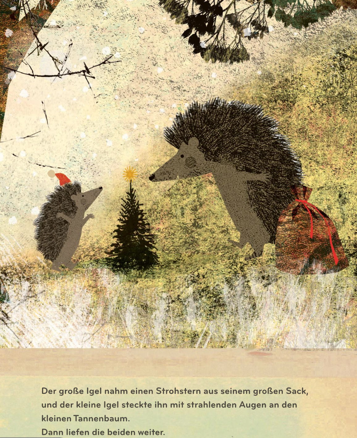 Der große und der kleine Igel - Weihnachten